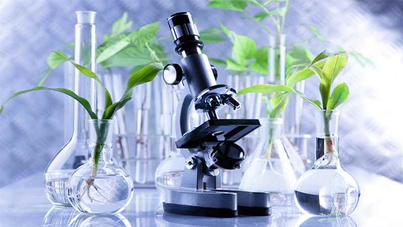 Research and Development